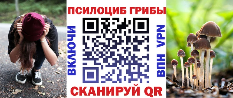 Псилоцибиновые грибы Psilocybine cubensis  даркнет сайт  Ивдель 